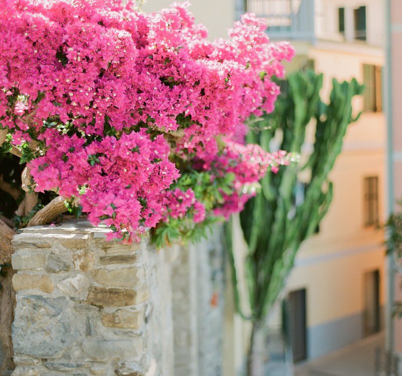 Cinque Terre