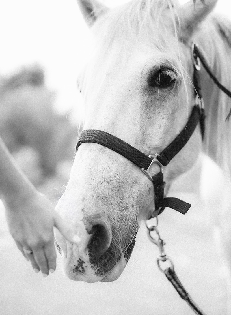 Provence Destination Wedding By Peter And Veronika