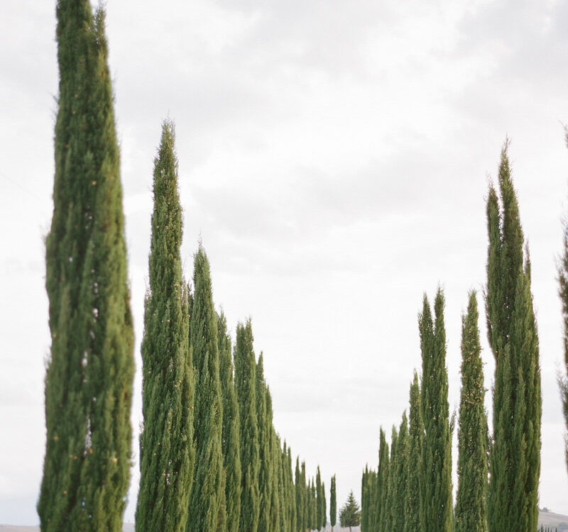 Romantic elopement in sunny Tuscany