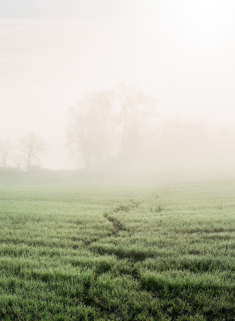 Foggy Morning in Tuscany